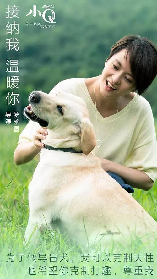 Kettering College of Medical Arts商科文凭证书